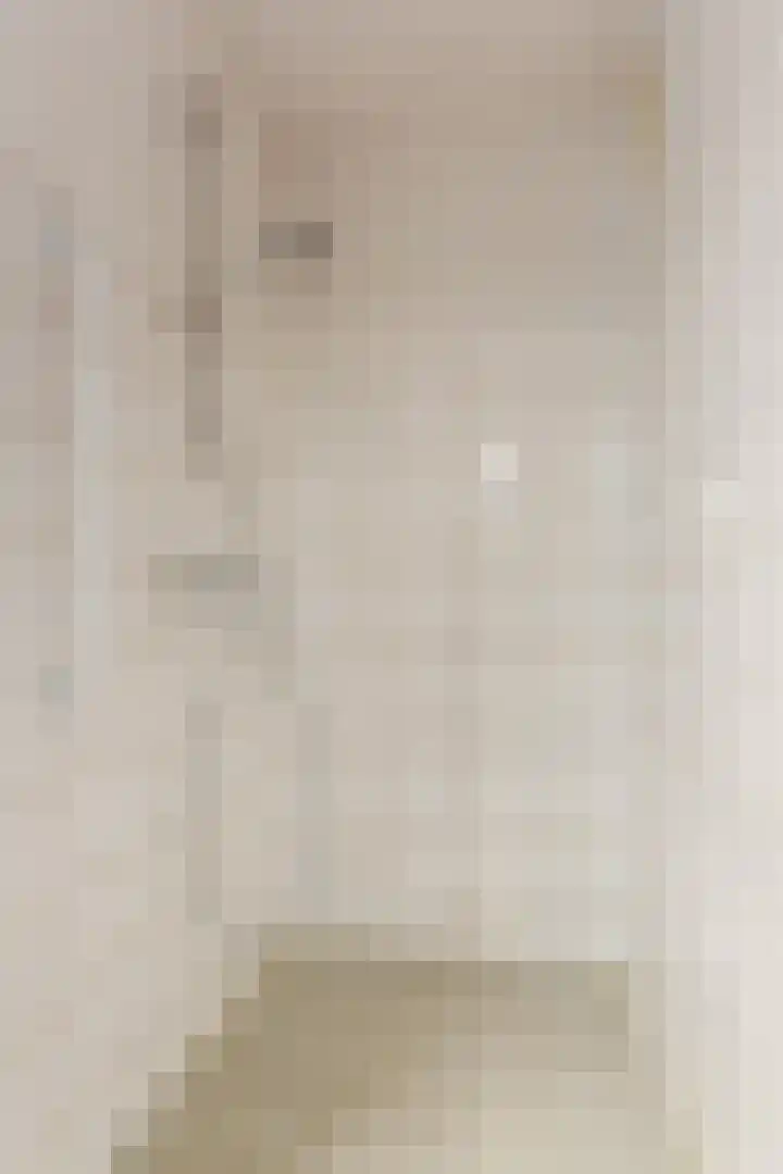 Paladijnstraat 24 Geldrop thumbnail 28