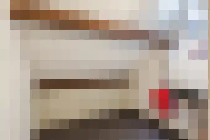 Paladijnstraat 24 Geldrop thumbnail 30