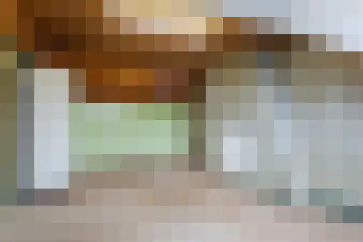 Paladijnstraat 24 Geldrop thumbnail 32