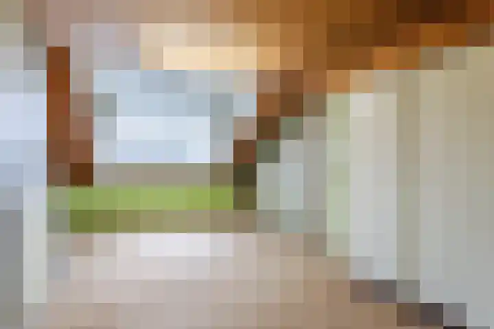 Paladijnstraat 24 Geldrop thumbnail 33