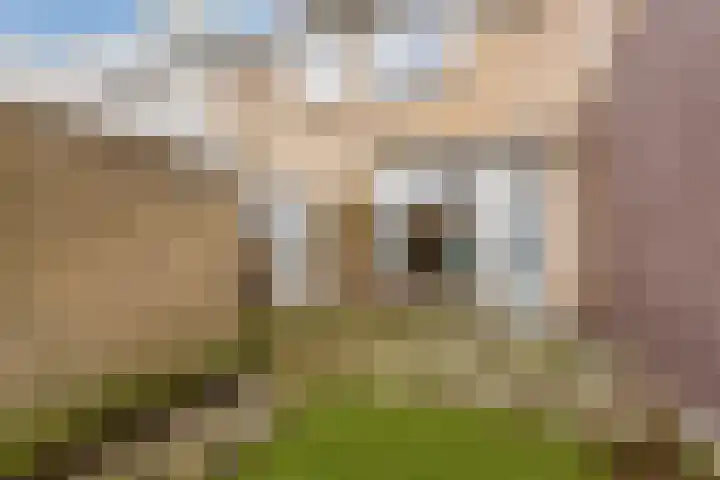 Paladijnstraat 24 Geldrop thumbnail 34
