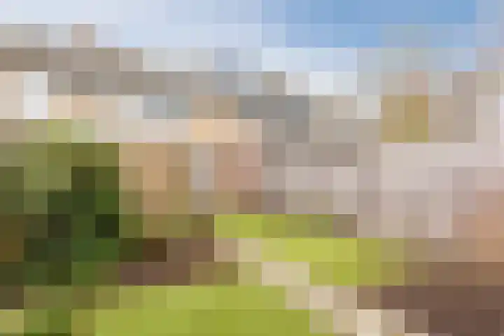 Paladijnstraat 24 Geldrop thumbnail 37