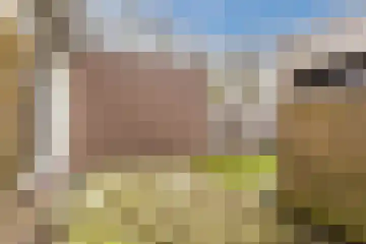 Paladijnstraat 24 Geldrop thumbnail 38