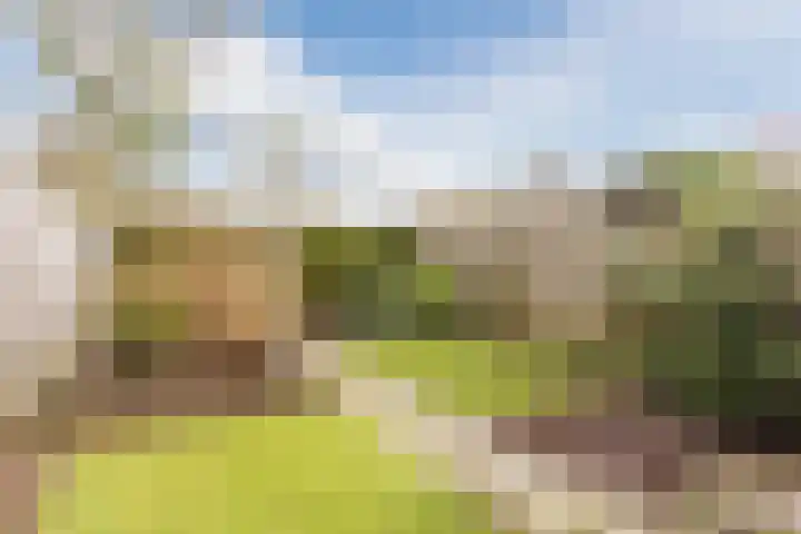 Paladijnstraat 24 Geldrop thumbnail 41