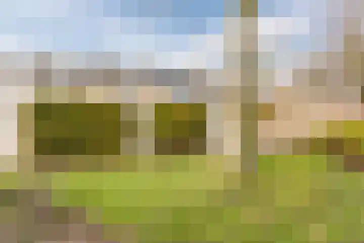 Paladijnstraat 24 Geldrop thumbnail 42