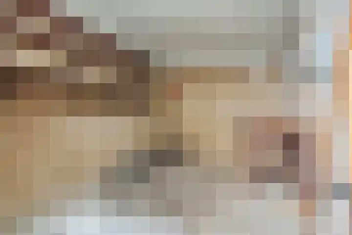 Paladijnstraat 24 Geldrop thumbnail 45