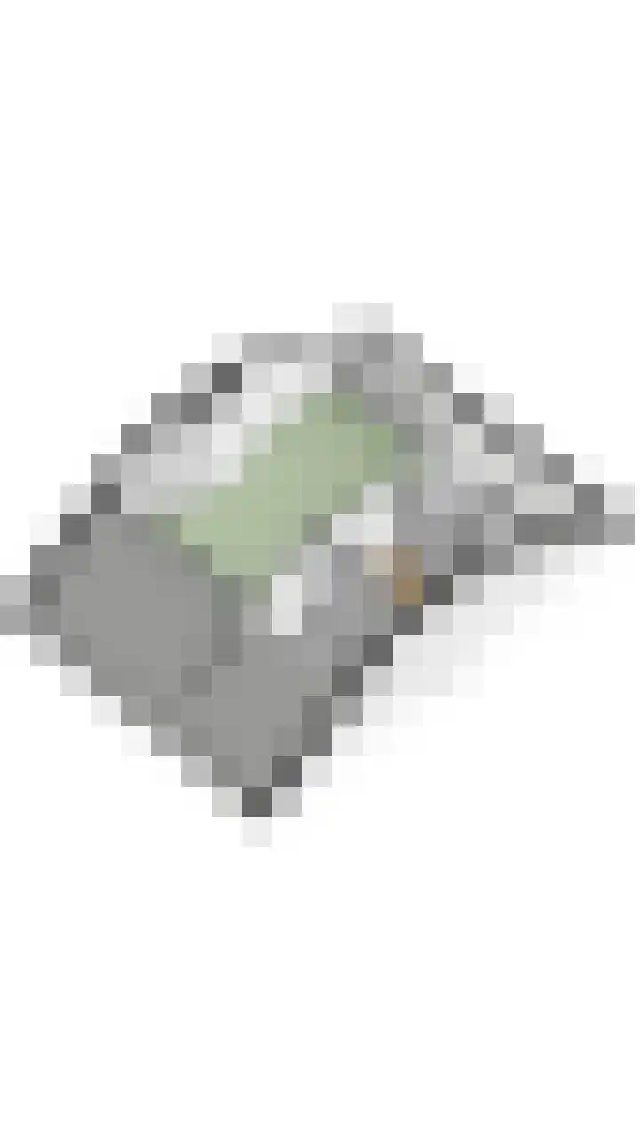 Paladijnstraat 24 Geldrop thumbnail 61