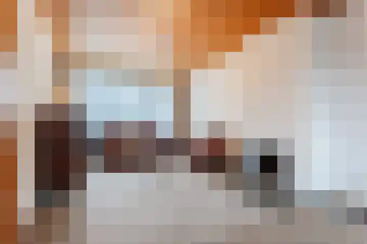 Paladijnstraat 24 Geldrop thumbnail 7