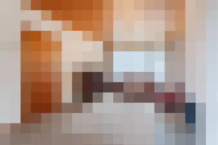 Paladijnstraat 24 Geldrop thumbnail 8