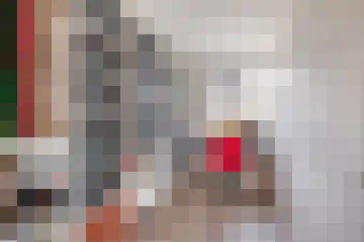 Palestrinarode 16 Zoetermeer thumbnail 28