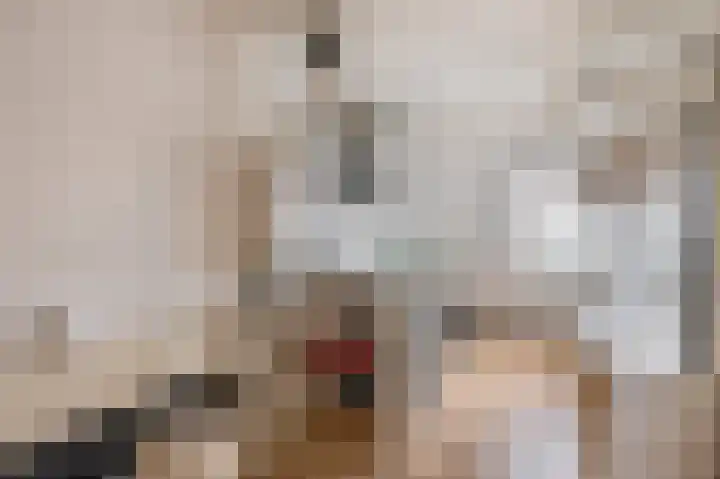 Palestrinarode 16 Zoetermeer thumbnail 30