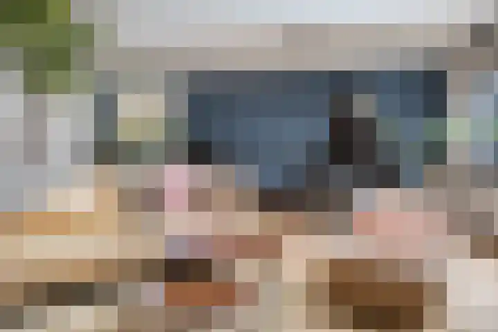 Palestrinarode 46 Zoetermeer thumbnail 12