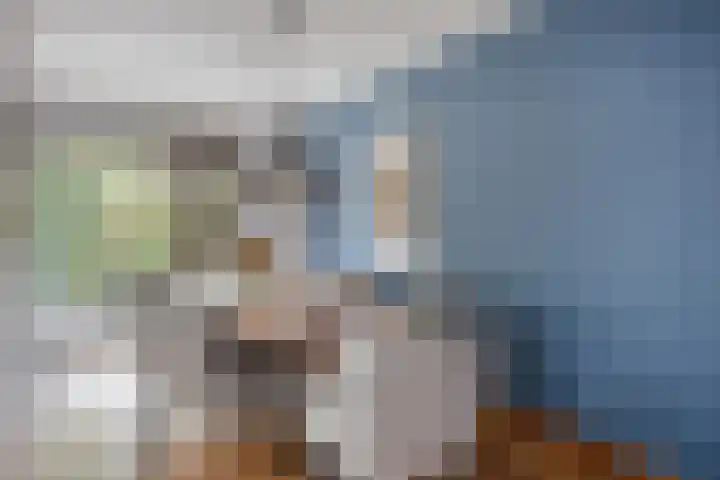 Palestrinarode 46 Zoetermeer thumbnail 17