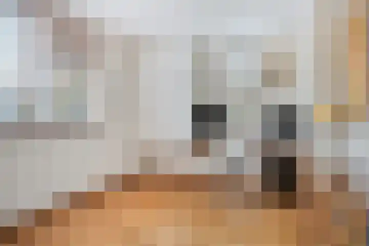 Palestrinarode 46 Zoetermeer thumbnail 25