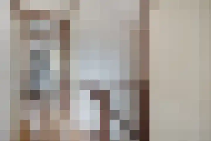 Palestrinarode 46 Zoetermeer thumbnail 28