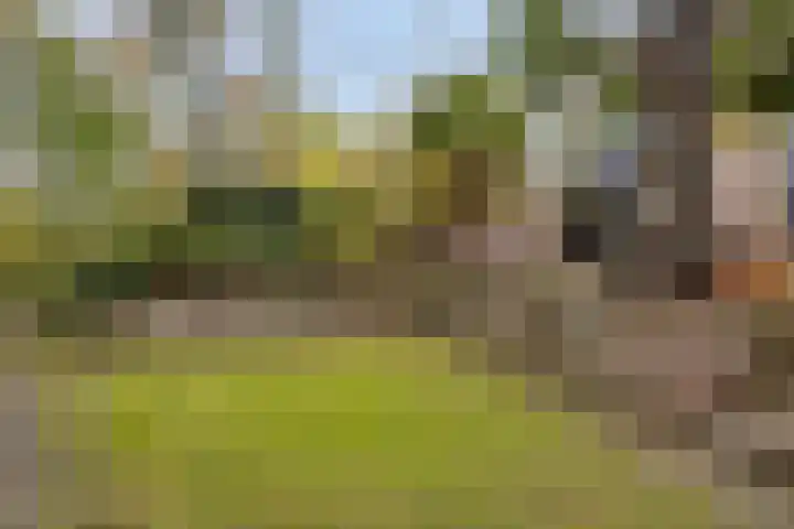 Palestrinarode 46 Zoetermeer thumbnail 39