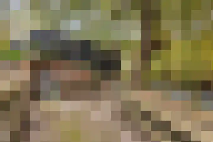 Palestrinarode 46 Zoetermeer thumbnail 40