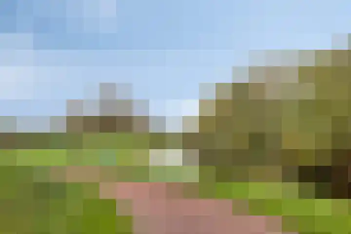 Palestrinarode 46 Zoetermeer thumbnail 41