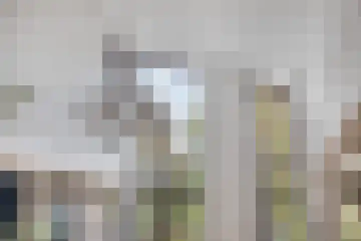 Palestrinarode 46 Zoetermeer thumbnail 7