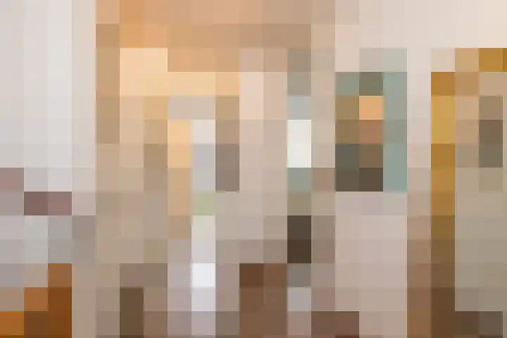 Palet 14 Hillegom thumbnail 12