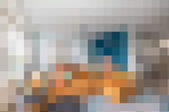 Palet 14 Hillegom thumbnail 15