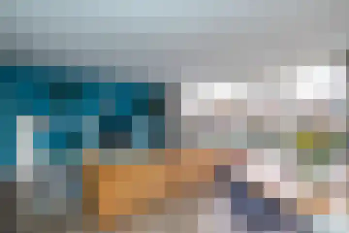 Palet 14 Hillegom thumbnail 17