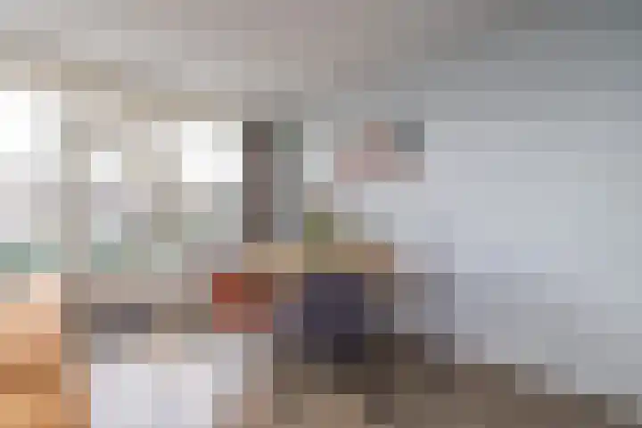 Palet 14 Hillegom thumbnail 18