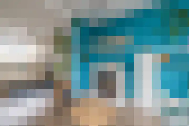 Palet 14 Hillegom thumbnail 19