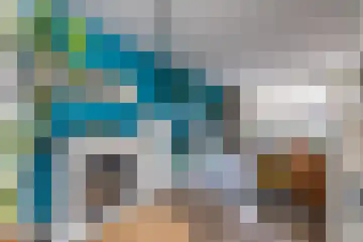 Palet 14 Hillegom thumbnail 20