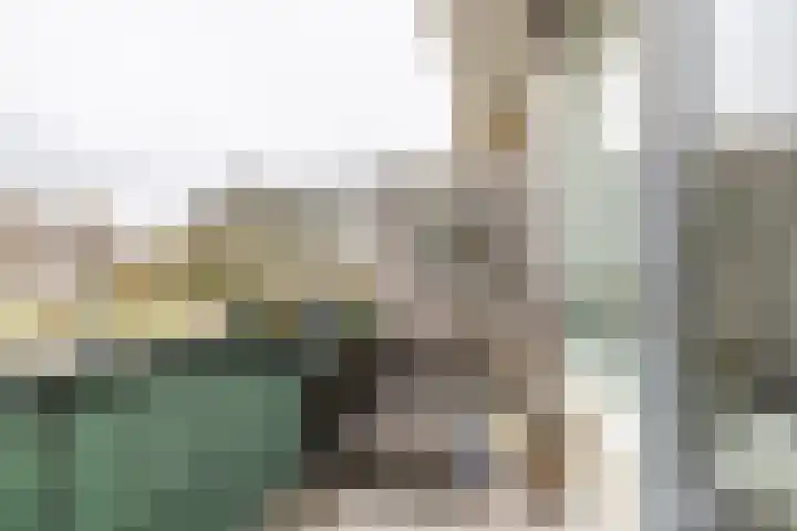 Palet 14 Hillegom thumbnail 23