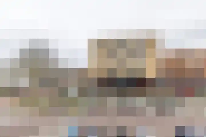 Palet 14 Hillegom thumbnail 37