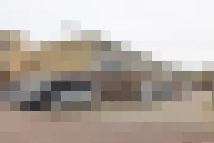 Palet 14 Hillegom thumbnail 38