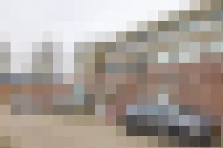 Palet 14 Hillegom thumbnail 39
