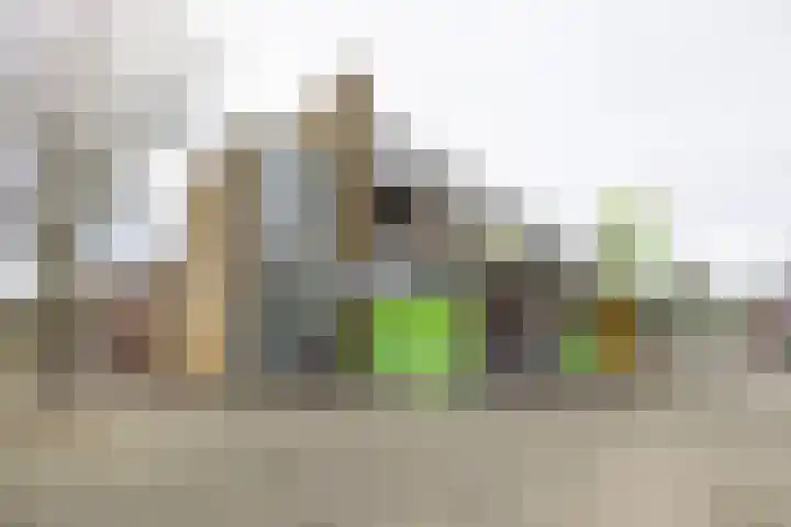 Palet 14 Hillegom thumbnail 5