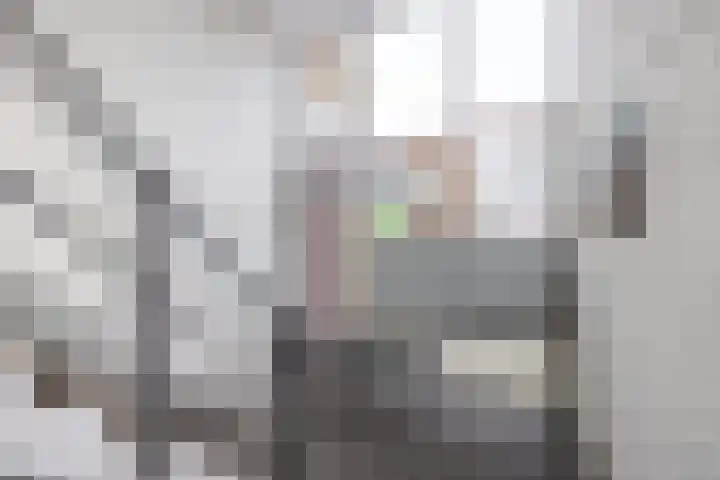 Palet 14 Hillegom thumbnail 7