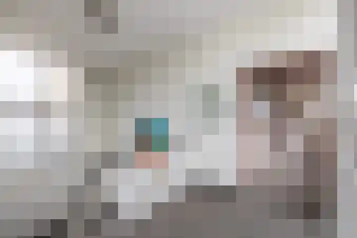 Palet 14 Hillegom thumbnail 8