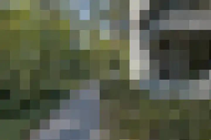 Palisiumpark 4 Eerbeek thumbnail 10