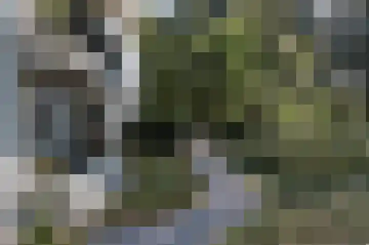 Palisiumpark 4 Eerbeek thumbnail 12