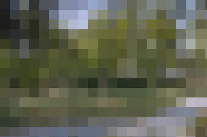 Palisiumpark 4 Eerbeek thumbnail 13