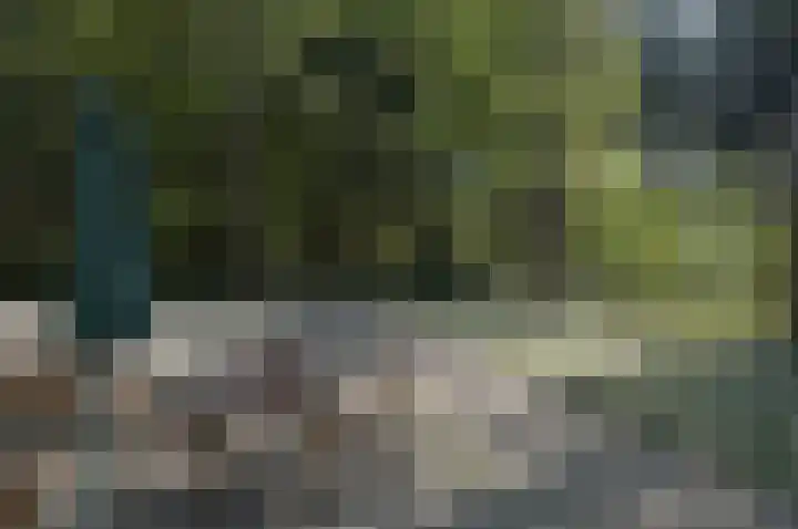 Palisiumpark 4 Eerbeek thumbnail 14