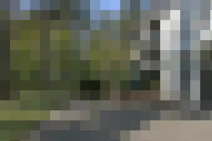 Palisiumpark 4 Eerbeek thumbnail 15
