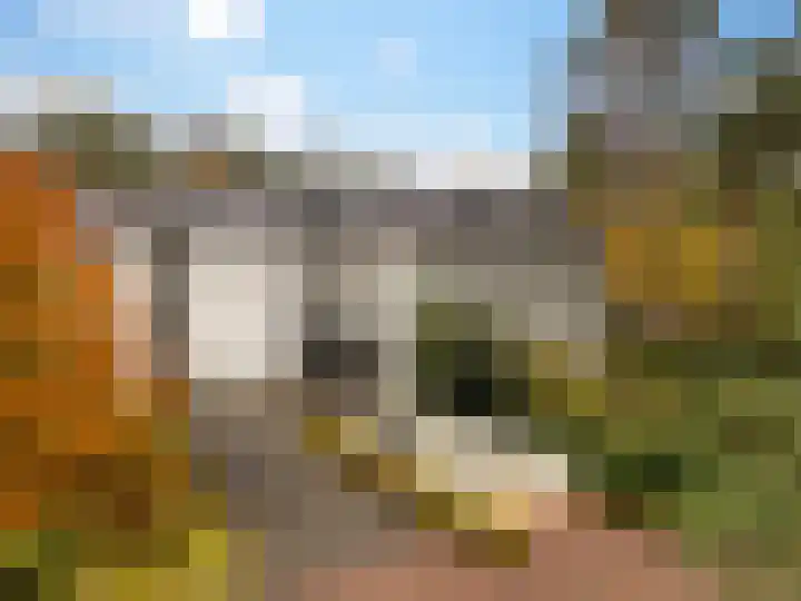 Palisiumpark 7 Eerbeek thumbnail 38