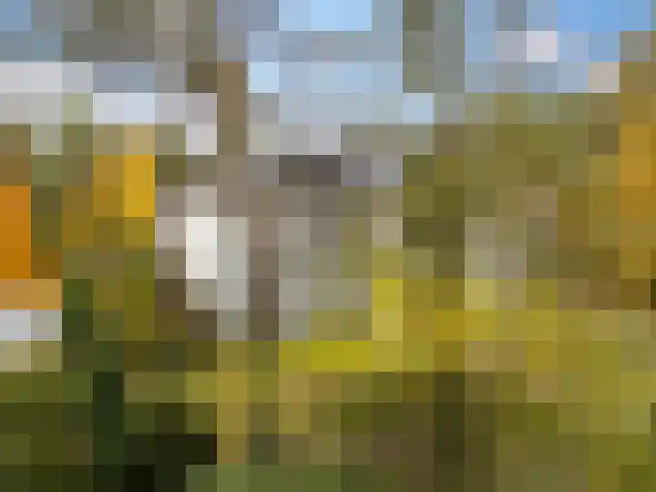 Palisiumpark 7 Eerbeek thumbnail 39