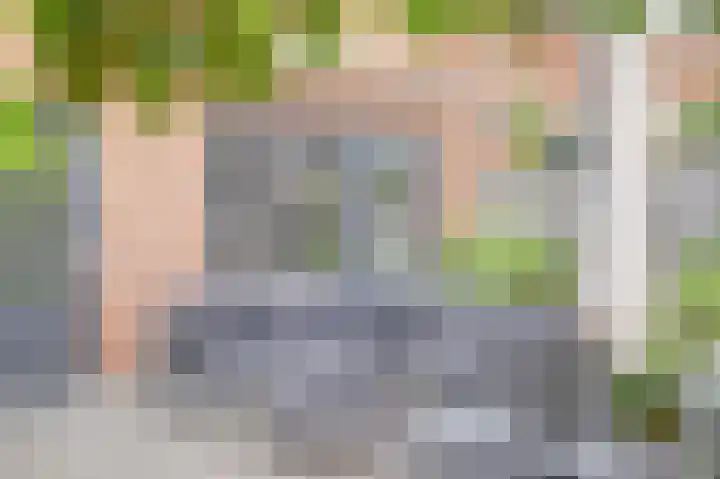 Palissade 82 Leerdam thumbnail 26