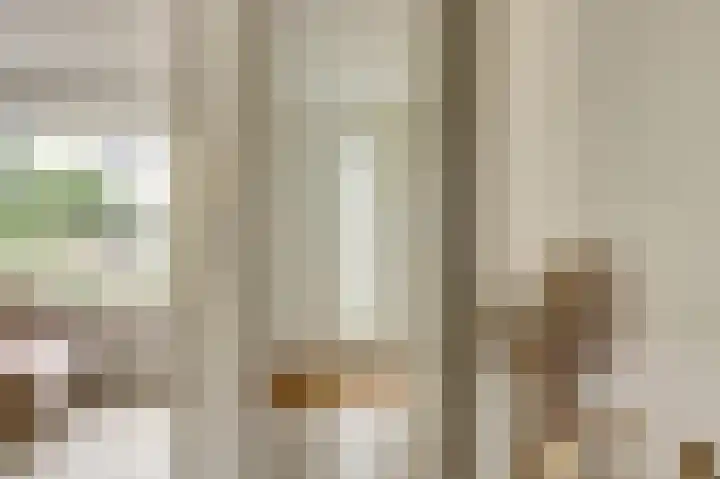 Palissade 82 Leerdam thumbnail 6