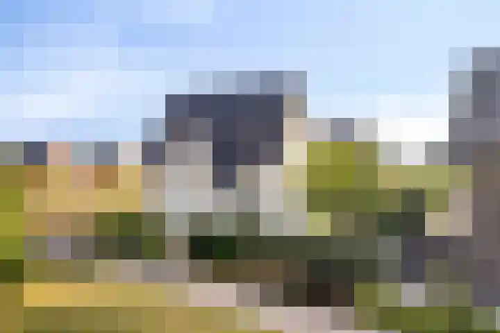 Palissander 2 Rosmalen thumbnail 41