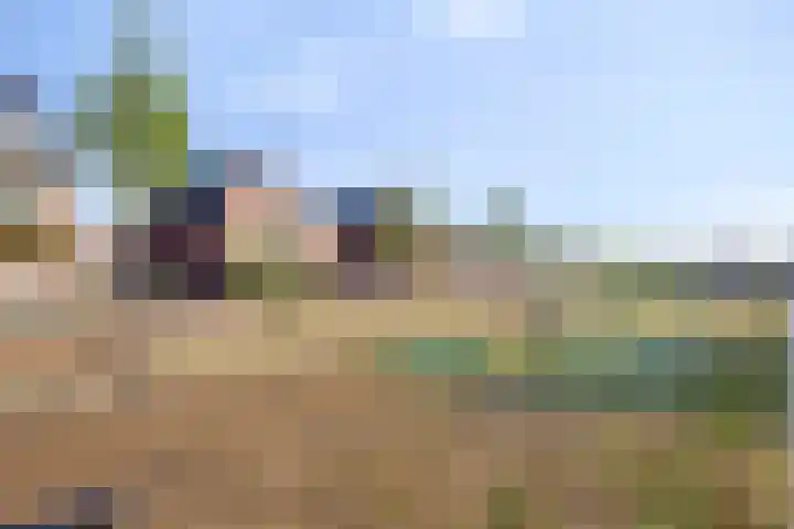 Palissander 2 Rosmalen thumbnail 42