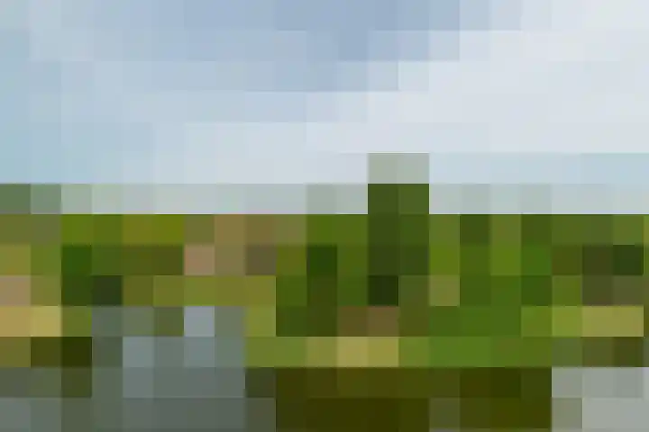 Palissanderhout 88 Barendrecht thumbnail 37
