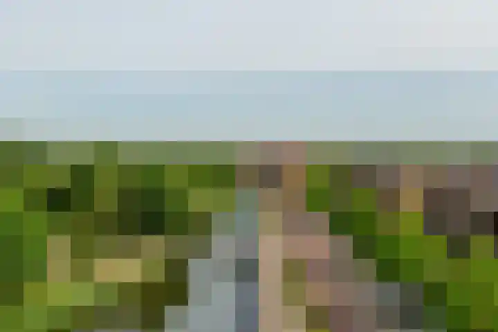Palissanderhout 88 Barendrecht thumbnail 39