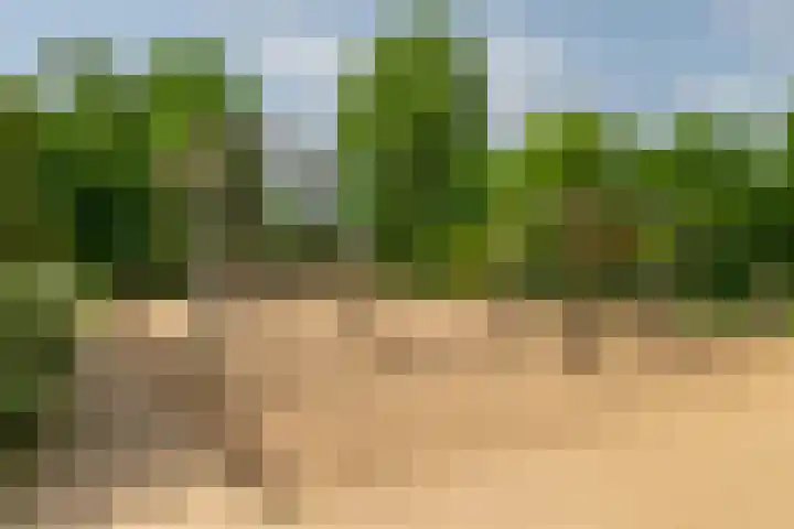 Palissanderhout 88 Barendrecht thumbnail 44